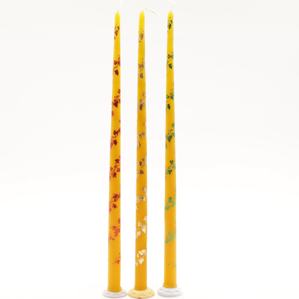 5d54a9e0-2975-11f0-add6-801844e5e14c_b2d4e9e4-3d73-11f0-add9-801844e5e14d