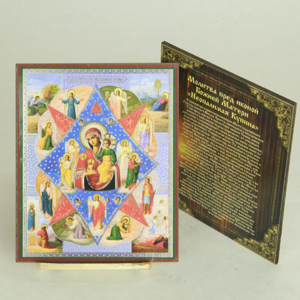 701fcf66-34a8-11ef-adc4-801844e5e14d_5e9c6e76-34a9-11ef-adc4-801844e5e14d