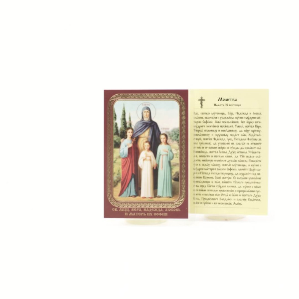 5833ba94-34a8-11ef-adc4-801844e5e14d_415f6ad5-34a9-11ef-adc4-801844e5e14d